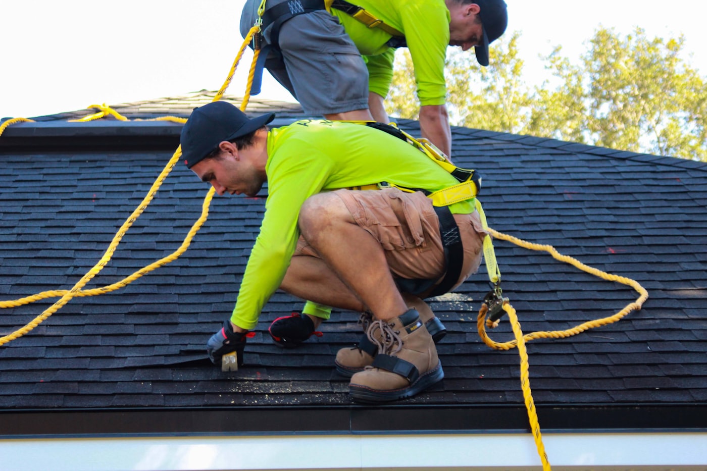 Virginia rooftops